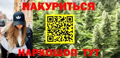 Альфа ПВП Беслан
