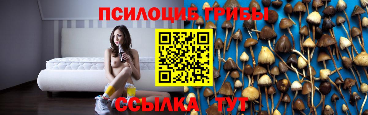 Псилоцибиновые грибы GOLDEN TEACHER Зима