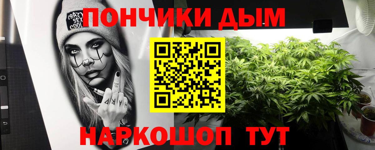МАРИХУАНА SATIVA & INDICA Зима
